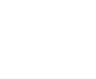 Power 2 Human logo